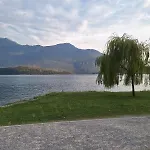 Viva-como