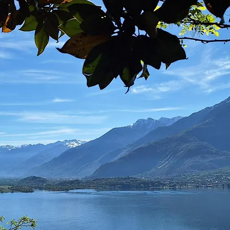 بيت للعطل Viva-como