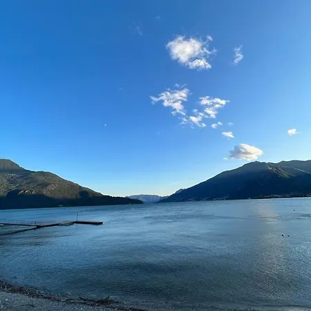 Viva-como * 多马索