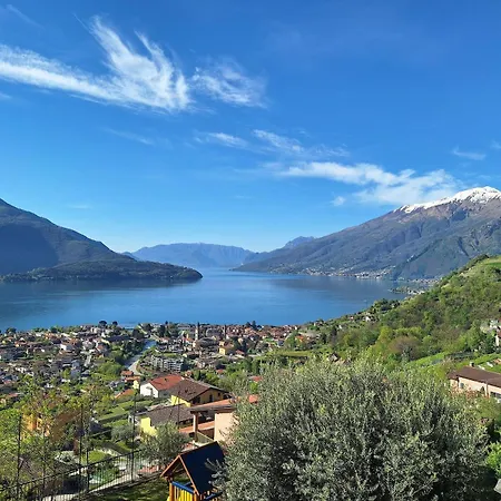 Viva-como *