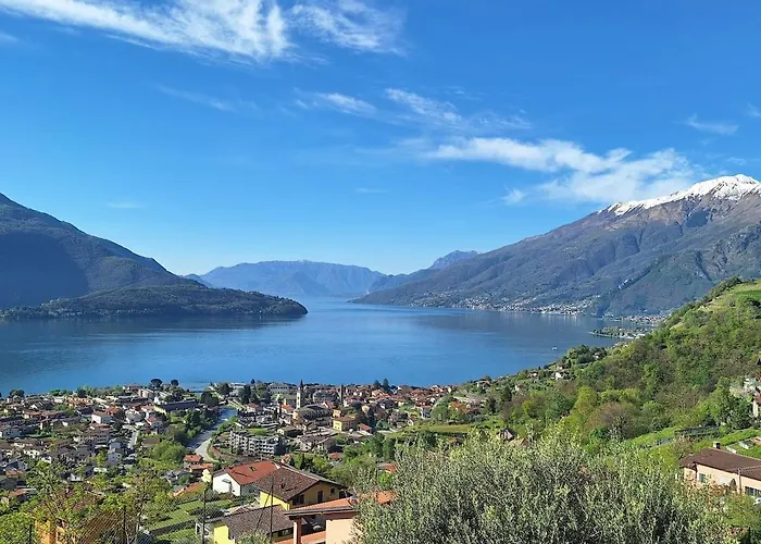 Viva-como *
