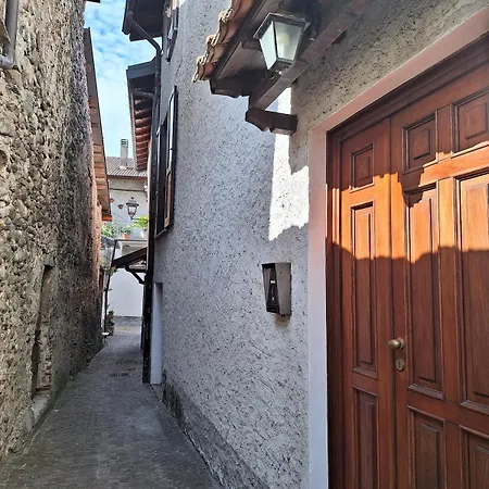 Viva-como * Domaso