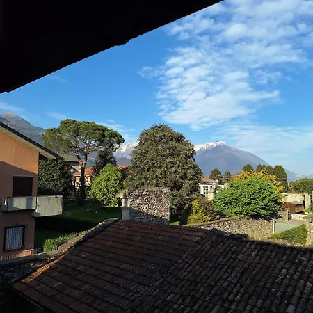 Viva-como *